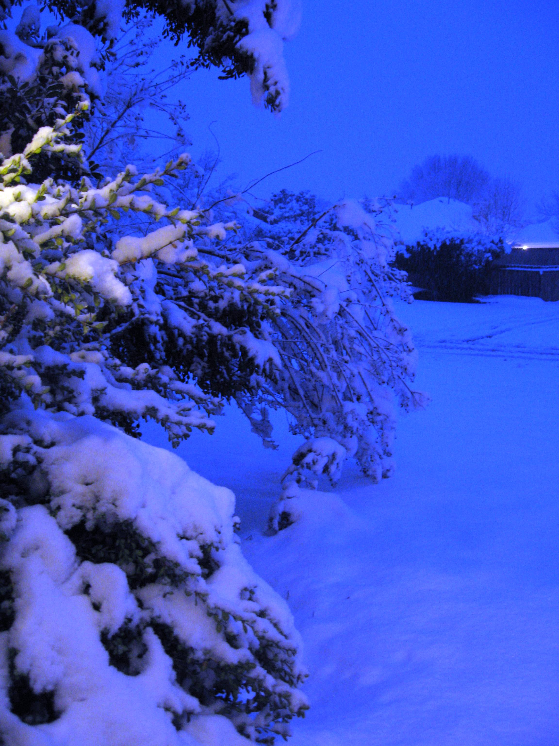 10.02.11 cedar hill snow scenes 045